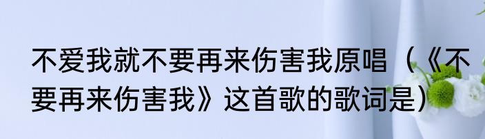 不爱我就不要再来伤害我原唱（《不要再来伤害我》这首歌的歌词是）