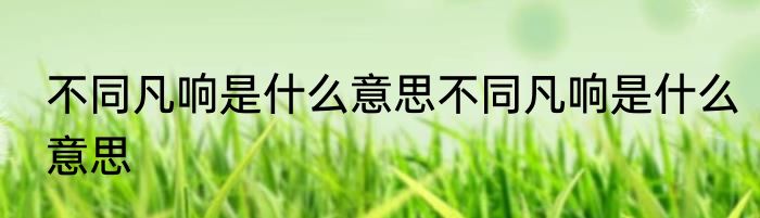 不同凡响是什么意思不同凡响是什么意思