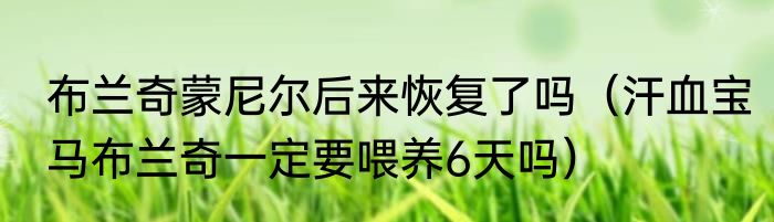 布兰奇蒙尼尔后来恢复了吗（汗血宝马布兰奇一定要喂养6天吗）
