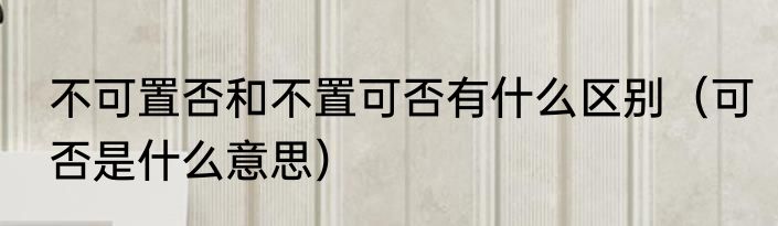 不可置否和不置可否有什么区别（可否是什么意思）