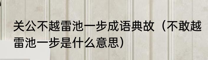 关公不越雷池一步成语典故（不敢越雷池一步是什么意思）