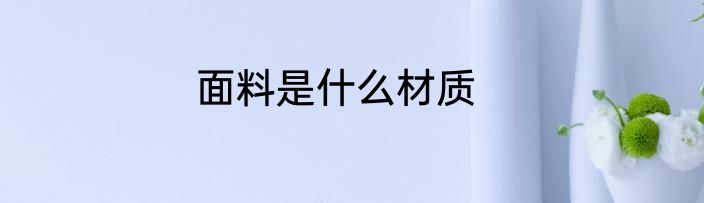面料是什么材质