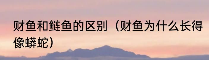 财鱼和鲢鱼的区别（财鱼为什么长得像蟒蛇）