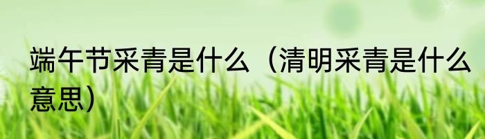端午节采青是什么（清明采青是什么意思）
