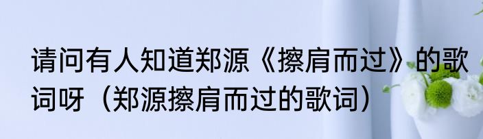 请问有人知道郑源《擦肩而过》的歌词呀（郑源擦肩而过的歌词）