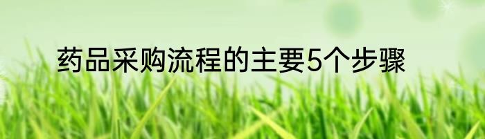 药品采购流程的主要5个步骤