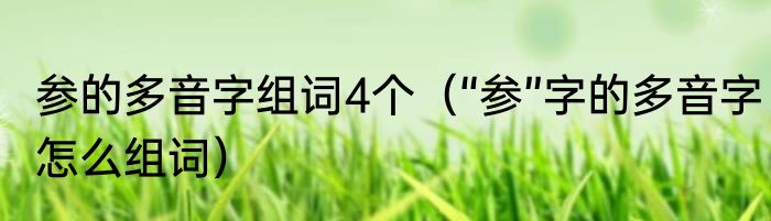 参的多音字组词4个（“参”字的多音字怎么组词）