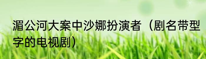 湄公河大案中沙娜扮演者（剧名带型字的电视剧）