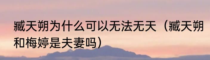 臧天朔为什么可以无法无天（臧天朔和梅婷是夫妻吗）
