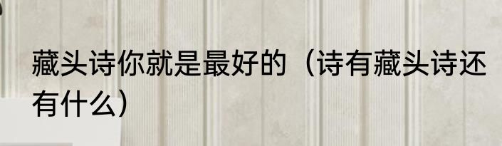 藏头诗你就是最好的（诗有藏头诗还有什么）