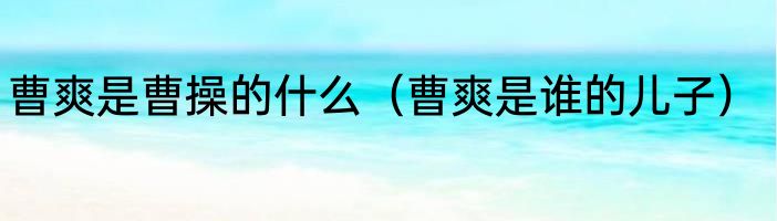 曹爽是曹操的什么（曹爽是谁的儿子）