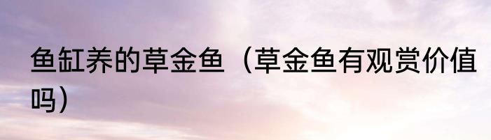 鱼缸养的草金鱼（草金鱼有观赏价值吗）