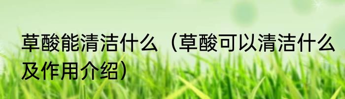 草酸能清洁什么（草酸可以清洁什么及作用介绍）