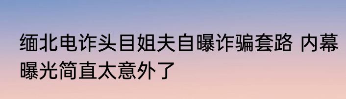 缅北电诈头目姐夫自曝诈骗套路 内幕曝光简直太意外了