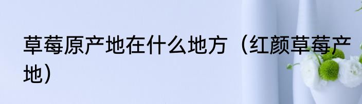 草莓原产地在什么地方（红颜草莓产地）