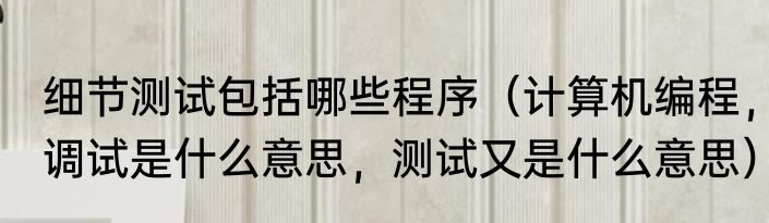 细节测试包括哪些程序（计算机编程，调试是什么意思，测试又是什么意思）