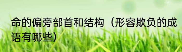 命的偏旁部首和结构（形容欺负的成语有哪些）