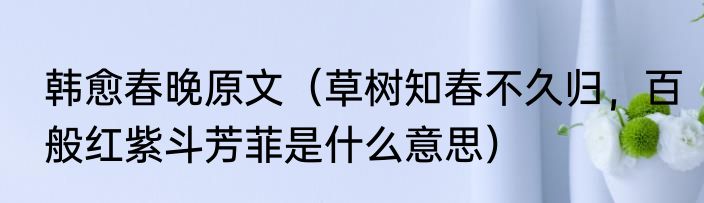 韩愈春晚原文（草树知春不久归，百般红紫斗芳菲是什么意思）