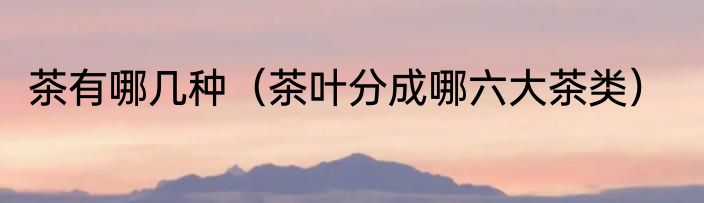 茶有哪几种（茶叶分成哪六大茶类）