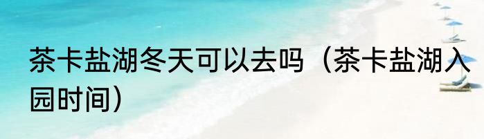 茶卡盐湖冬天可以去吗（茶卡盐湖入园时间）