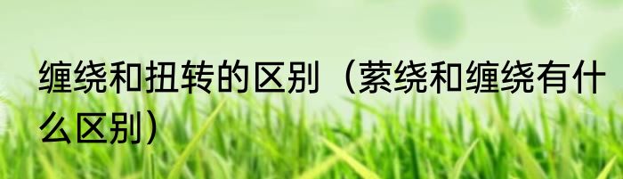缠绕和扭转的区别（萦绕和缠绕有什么区别）