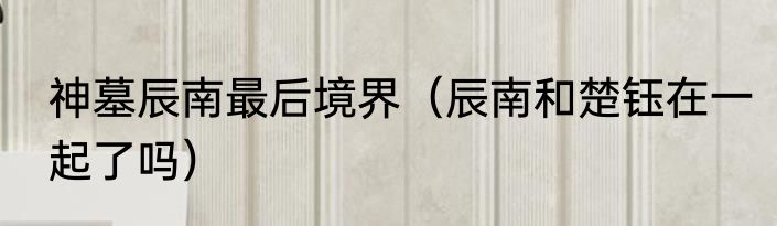 神墓辰南最后境界（辰南和楚钰在一起了吗）