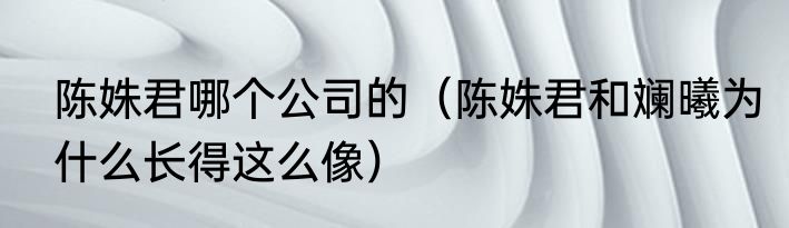 陈姝君哪个公司的（陈姝君和斓曦为什么长得这么像）
