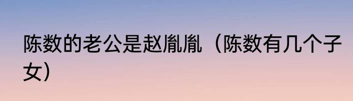 陈数的老公是赵胤胤（陈数有几个子女）