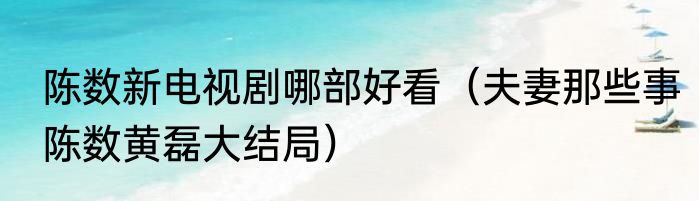 陈数新电视剧哪部好看（夫妻那些事陈数黄磊大结局）