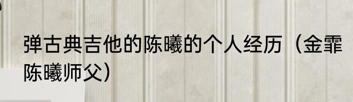弹古典吉他的陈曦的个人经历（金霏陈曦师父）