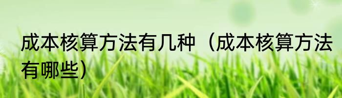 成本核算方法有几种（成本核算方法有哪些）