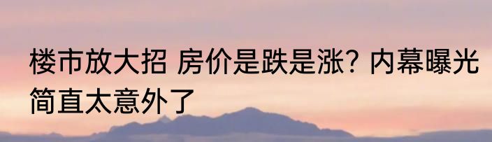楼市放大招 房价是跌是涨? 内幕曝光简直太意外了
