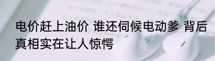 电价赶上油价 谁还伺候电动爹 背后真相实在让人惊愕