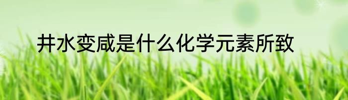 井水变咸是什么化学元素所致