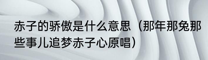 赤子的骄傲是什么意思（那年那兔那些事儿追梦赤子心原唱）
