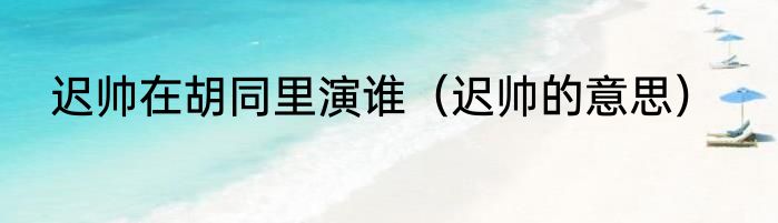 迟帅在胡同里演谁（迟帅的意思）