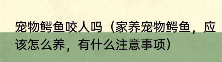 宠物鳄鱼咬人吗（家养宠物鳄鱼，应该怎么养，有什么注意事项）