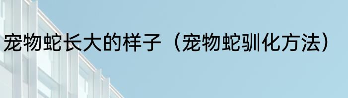 宠物蛇长大的样子（宠物蛇驯化方法）