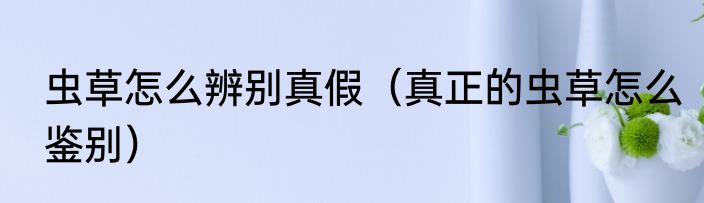 虫草怎么辨别真假（真正的虫草怎么鉴别）