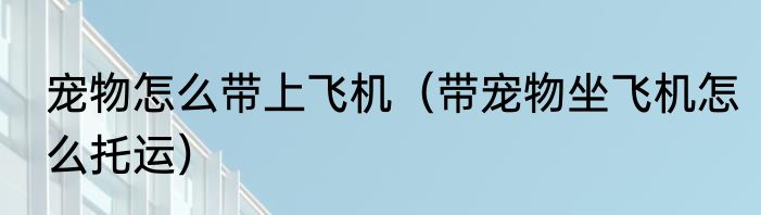 宠物怎么带上飞机（带宠物坐飞机怎么托运）