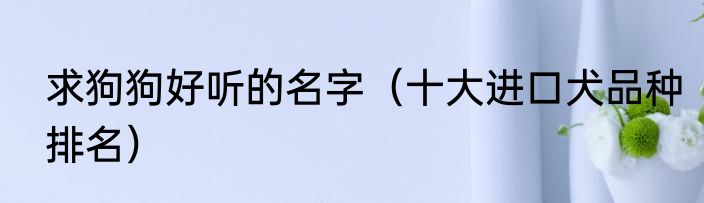 求狗狗好听的名字（十大进口犬品种排名）