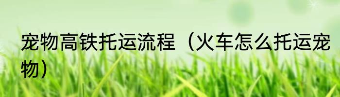 宠物高铁托运流程（火车怎么托运宠物）