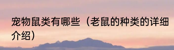 宠物鼠类有哪些（老鼠的种类的详细介绍）