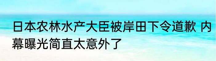 日本农林水产大臣被岸田下令道歉 内幕曝光简直太意外了