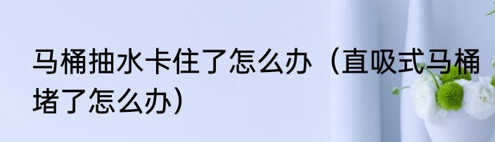 马桶抽水卡住了怎么办（直吸式马桶堵了怎么办）