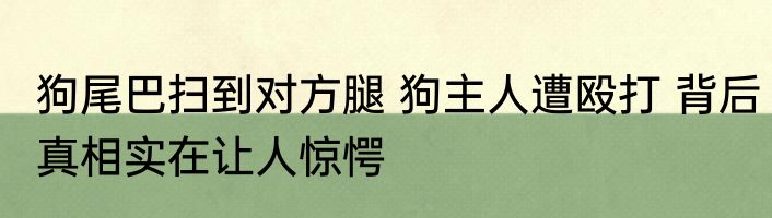 狗尾巴扫到对方腿 狗主人遭殴打 背后真相实在让人惊愕