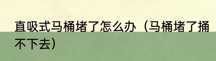 直吸式马桶堵了怎么办（马桶堵了捅不下去）