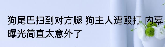 狗尾巴扫到对方腿 狗主人遭殴打 内幕曝光简直太意外了