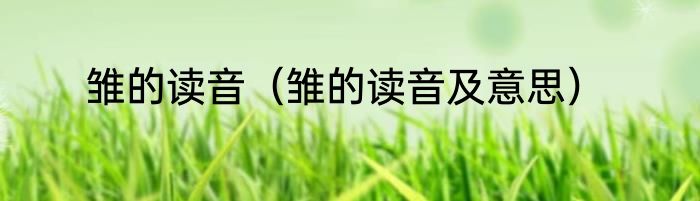 雏的读音（雏的读音及意思）