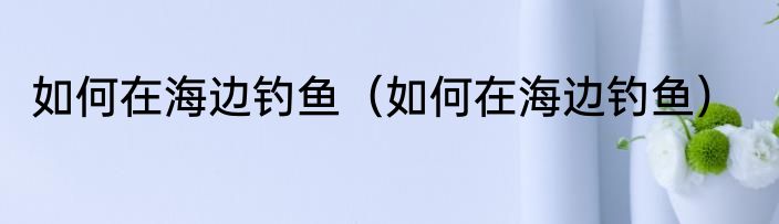 如何在海边钓鱼（如何在海边钓鱼）